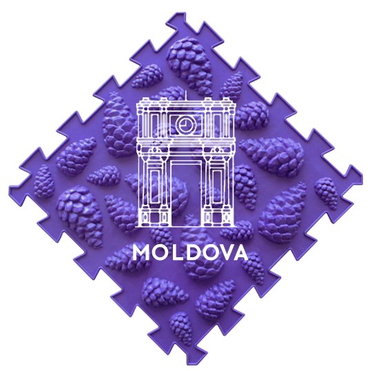 ОРТО ПАЗЛ в Молдавии